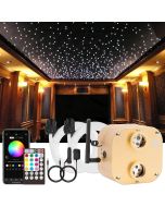 20W TWINKLE RGBW Fiber Optic Light Bluetooth APP Control Dual Head Ceiling Stars Lights